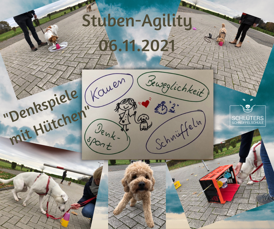 Dieses Bild hat ein leeres Alt-Attribut. Der Dateiname ist Stuben-Agility-Denken-Huetchen.png